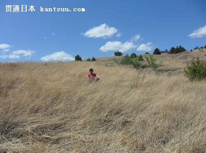 双语美文--原地休息